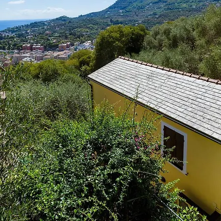 Hintown S. Margherita's Hill * Santa Margherita Ligure